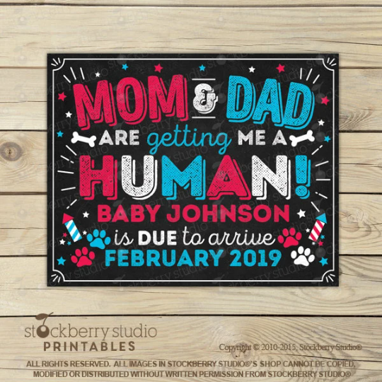 4th of July Dog Pregnancy Announcement Sign