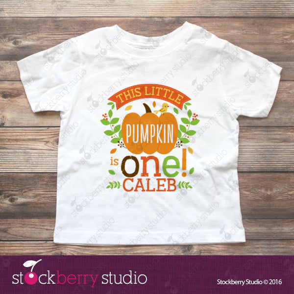 Little Pumpkin Birthday Shirt Personalized