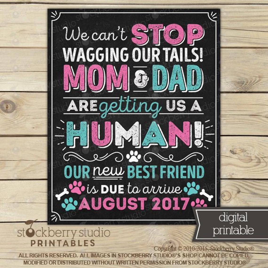 Dog Pregnancy Announcement Sign