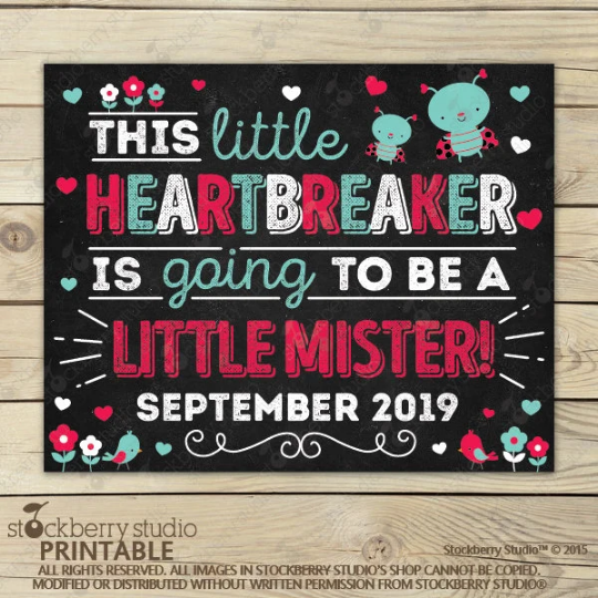 Valentine's Day Big Brother Announcement Sign
