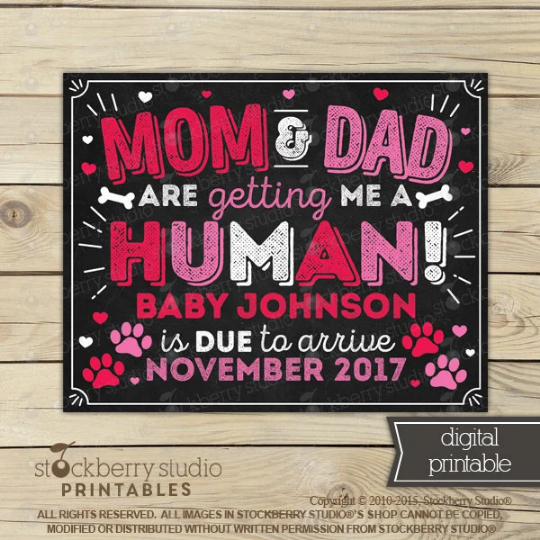 Valentine's Day Dog Pregnancy Announcement Sign