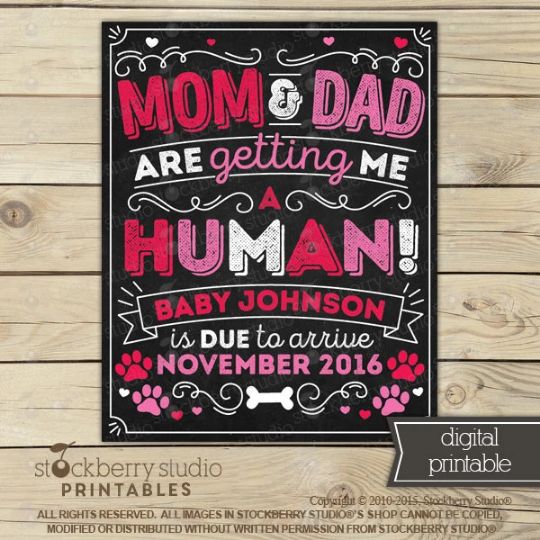 Valentine's Day Dog Pregnancy Announcement Sign