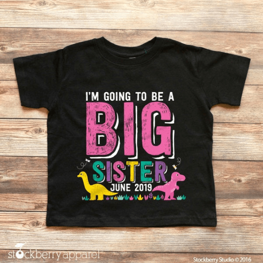 Dinosaur Big Brother Shirt - Stockberry Studio