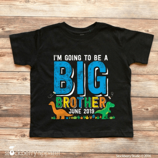 Dinosaur Big Brother Shirt - Stockberry Studio