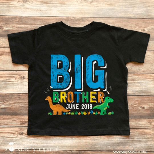 Dinosaur Big Brother Shirt - Stockberry Studio